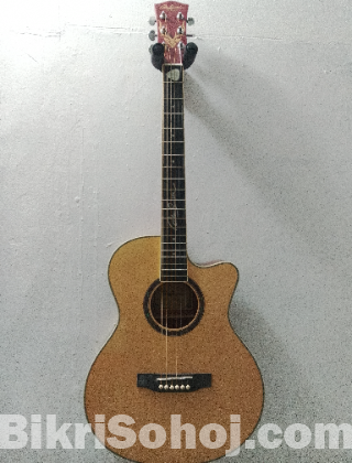 AdamSmith Acoustic Guitar